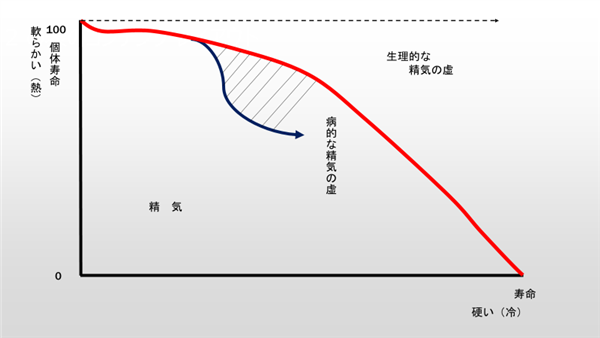 精気とは | 浦安市 鍼灸なら 典元鍼灸院