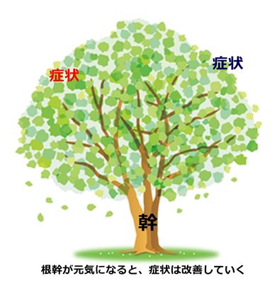 栄養のある木のイメージ